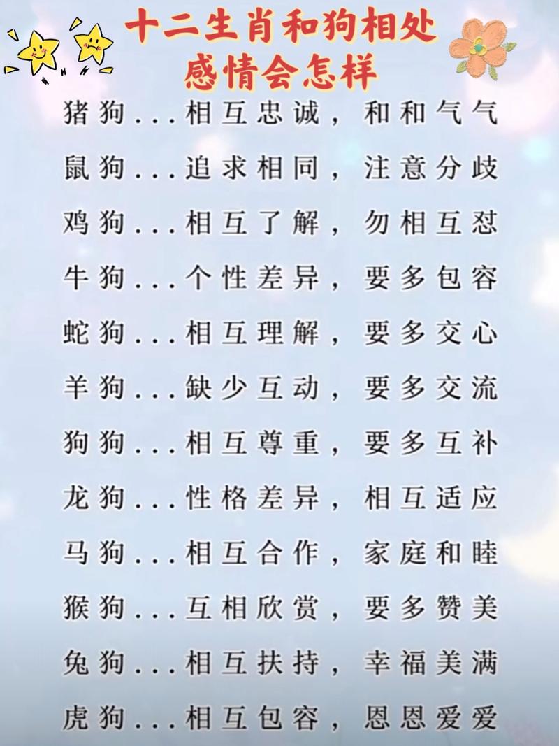 属狗的人最适合和哪些生肖合作？这样的事业伙伴关系会怎样？