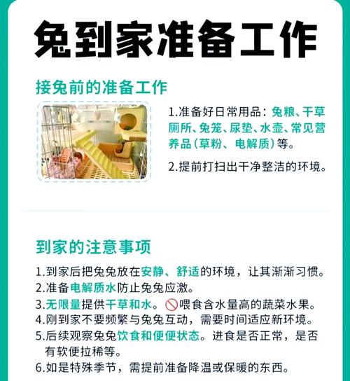 属兔的前世究竟是如何离世的？生肖兔的三世命运又隐藏着怎样的秘密？