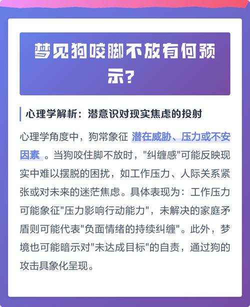 女人梦见狗咬脚不放是什么预兆？这梦境意味着什么？