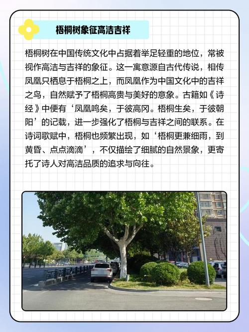 在宅子后面种植梧桐树，这样的寓意是否意味着家旺人也富？