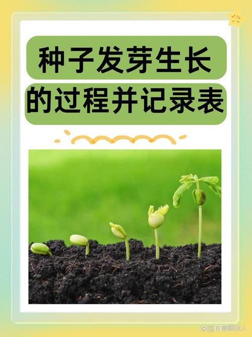 梦见种子发芽预示着什么吉凶？