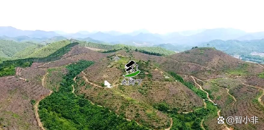 梧州风水宝地，真的能出一代大官吗？这地方是不是天子之地？