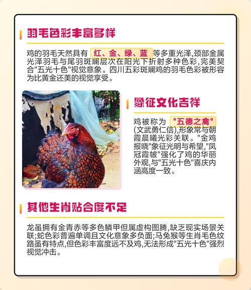 五光十色的最佳生肖是哪个？