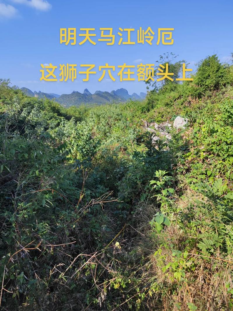 高州狮子坟附近风水如何调整才嫩改善？