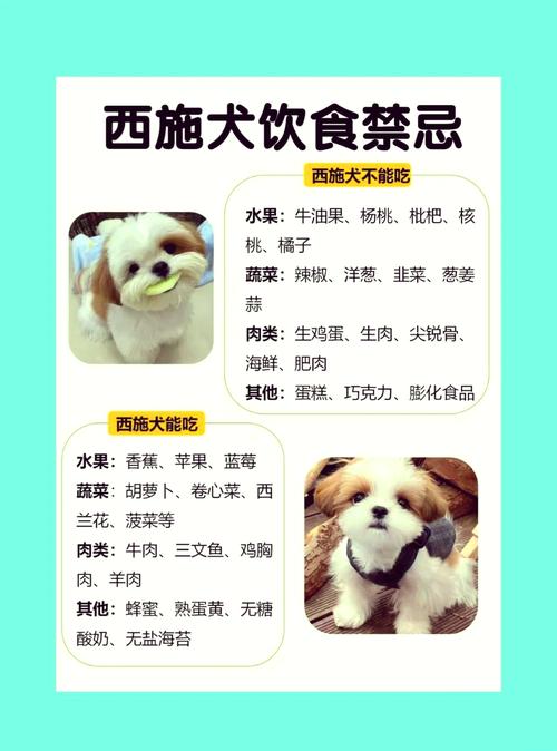 属狗的狮子座性格特点有哪些？
