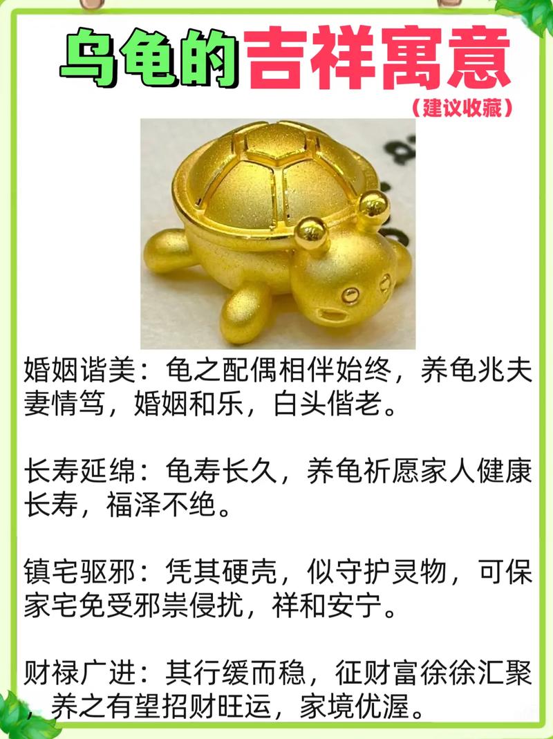 梦见龟仙有什么特殊含义或象征？周公解梦中的龟仙预示着什么？