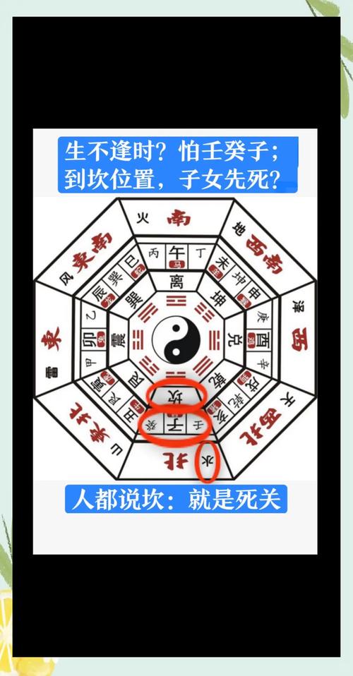 八字中木过多的女性命运是否多舛，生活是否坎坷？