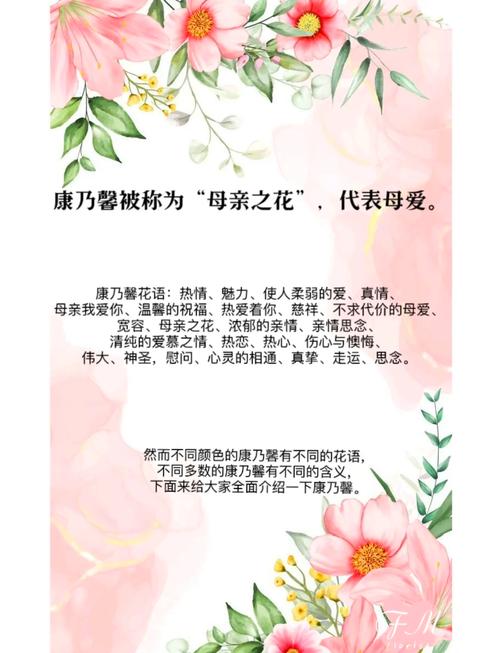 康乃馨的花语和寓意具体代表什么含义？