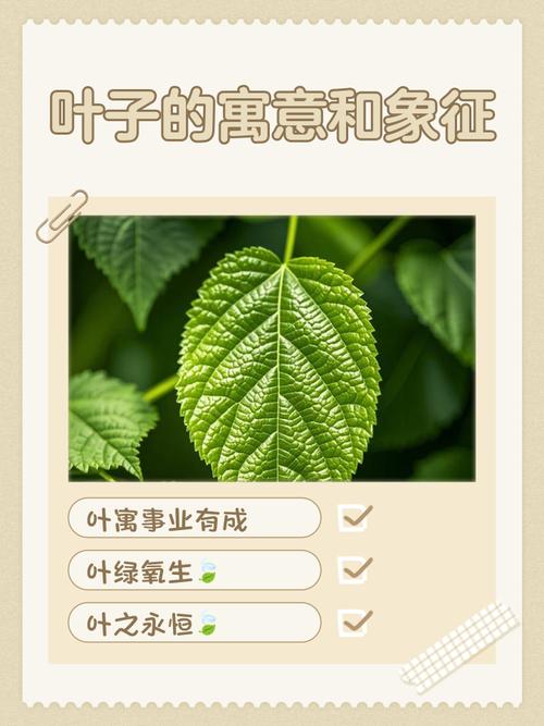 梦见大量绿叶预示着什么含义？周公解梦中的绿叶象征什么？
