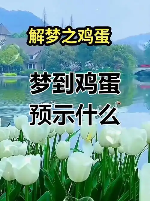 女人梦见好多鸡蛋是什么意思？周公解梦里40岁女人梦到鸡蛋有何特殊含义？