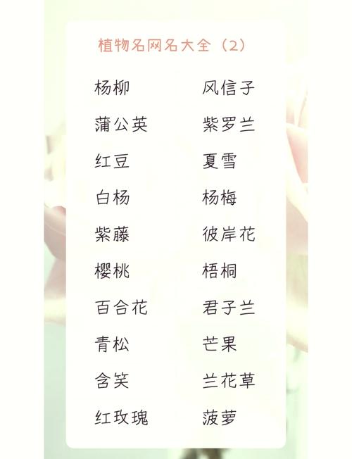 有哪些诗意的霸气回荡的花名可依取？