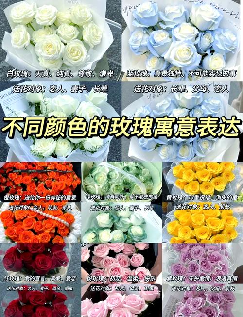 白玫瑰的风水寓意为何被认为不佳？