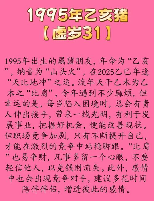 1995年属猪的五行是什么那年的生肖命理叫什么？