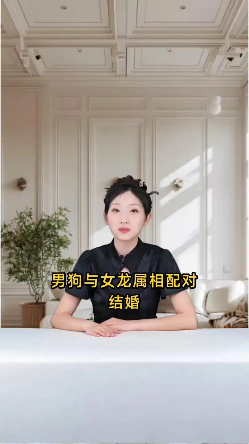 属狗和属龙结婚，他们的婚姻关系是否和谐美满？