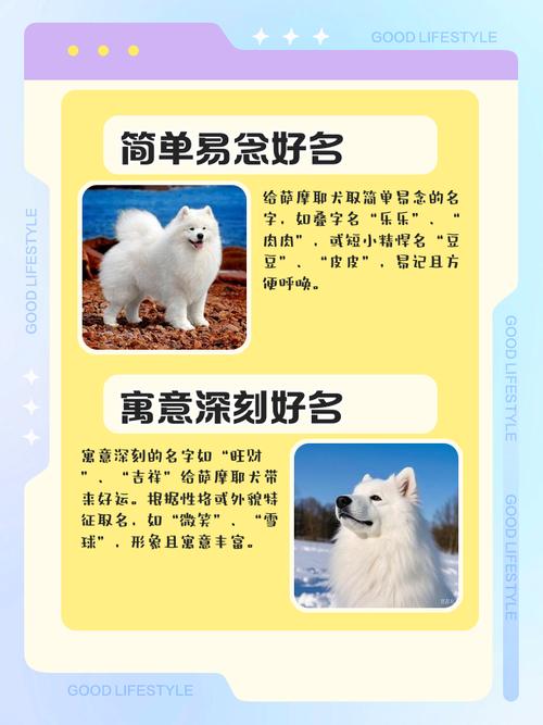 萨摩耶取什么名字既好听又顺口，有没有什么特别可爱的建议呢？