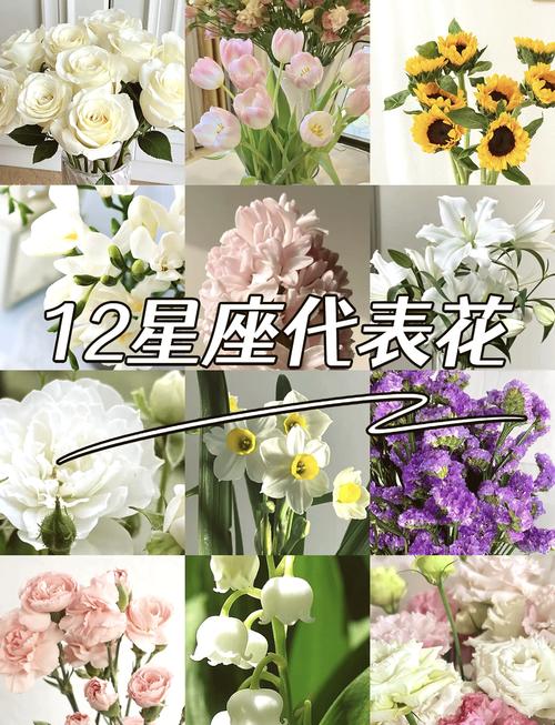 12星座的生日花分别是什么？