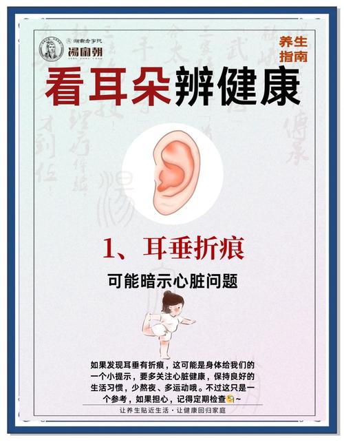 耳朵长得小的人命运是否真的不好，这其中的关联有何科学依据？