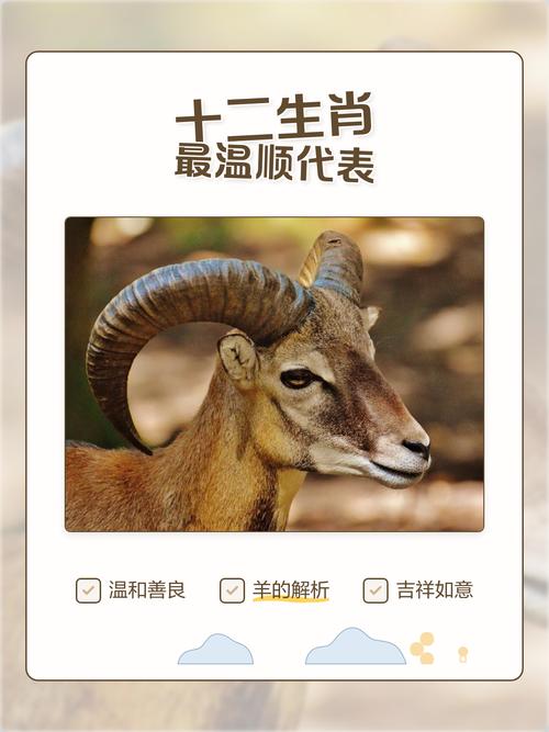 性情温顺的生肖是哪一个？