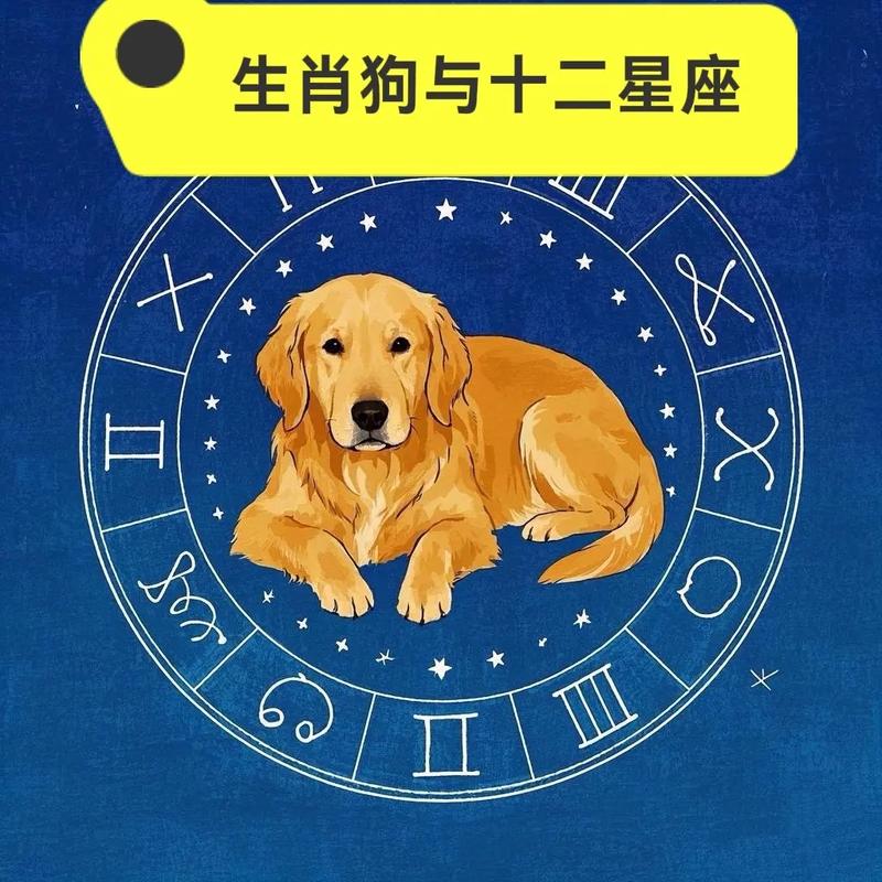 2006年属狗女生运势如何，她的命理特点是什么？