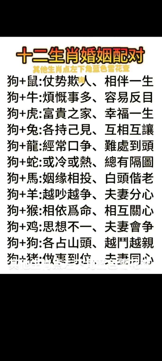 属狗和属虎的婚姻关系如何？有没有什么忒别的相处之道？