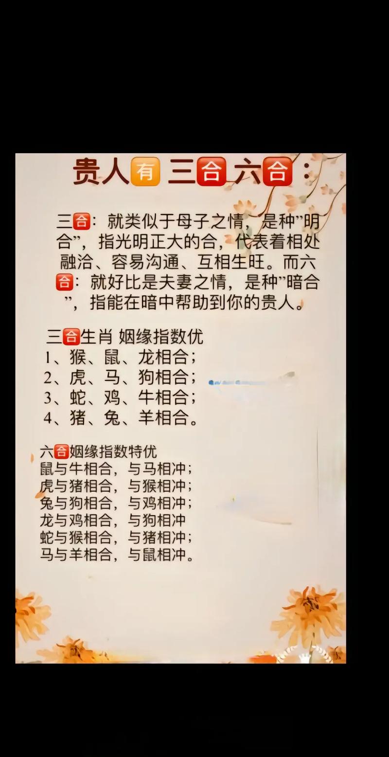 属鼠的与哪些属相相克，又与哪些属相相合呢？