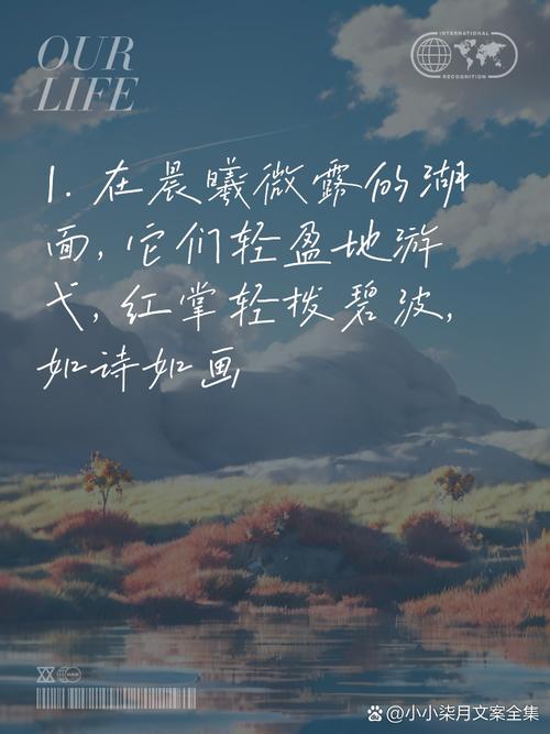 白天鹅形容一个人，其象征意义能否转化为一个？