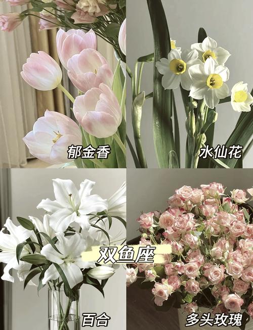 12星座的生日花分别是什么？