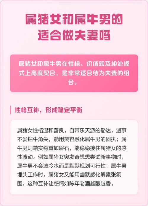 属猪和属牛的婚姻配对是否合适，他们的属相合不合？