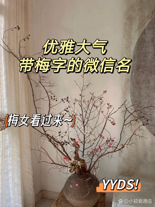 有哪些带梅字的花卉名字？
