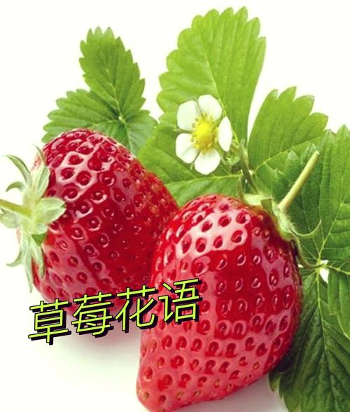 孕妇做梦梦见草莓有什么特殊含义？