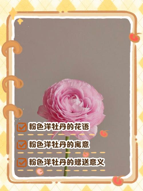 粉色牡丹的花语和寓意是什么？