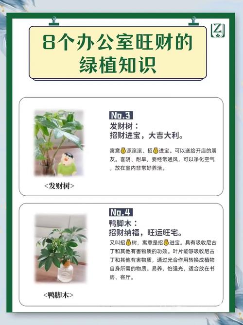 办公室盆栽风水有哪些寓意和作用？