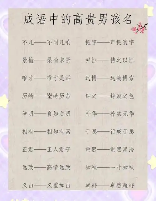 哪个成语可以用来形容令人称赞的双胞胎男孩的名字？