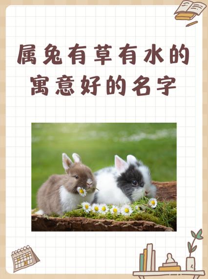 属兔宝宝缺土缺水，取什么名字能补土补水呢？