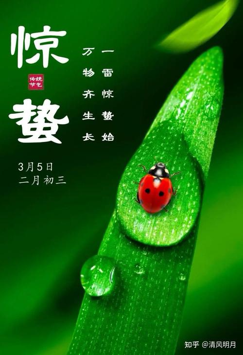 天津蒋老师算命为什么这么厉害？蒋震云的命理预测有何独特之处？