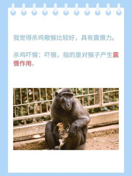 杀鸡儆猴非供奉的生肖动物是哪一种？