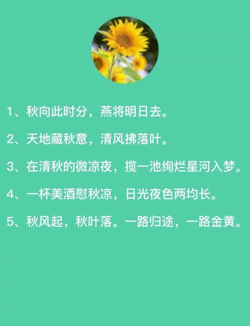 谁能用秋分唯美的短句，成一句不超过50个字的长尾？
