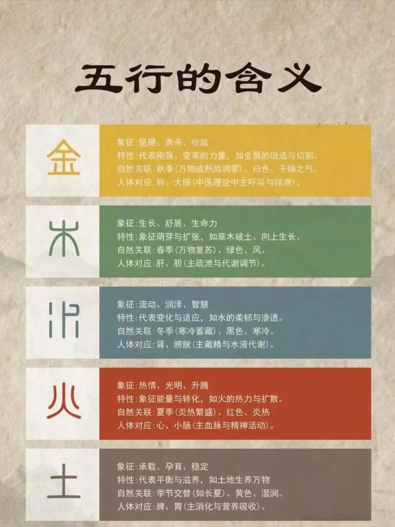 转字在五行中究竟属于哪一类属性？五行属性具体指什么？