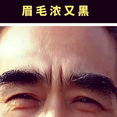 男人眉毛浓密又多，这样的命运会怎样？