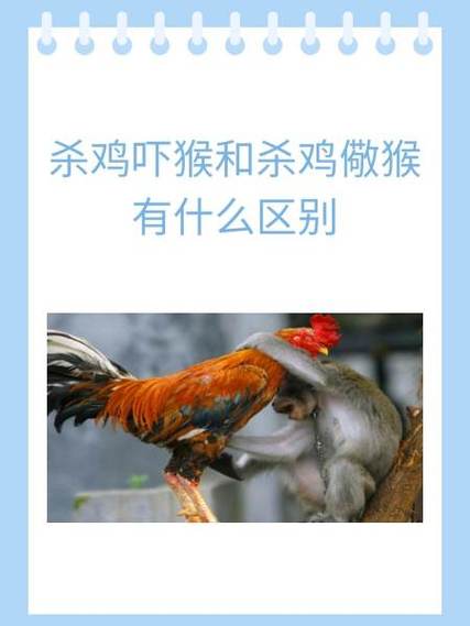 杀鸡儆猴非供奉的生肖动物是哪一种？