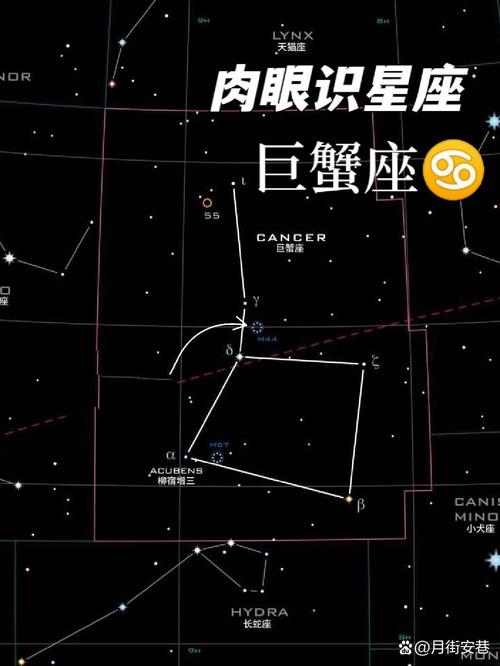 巨蟹座的主序星是什么？