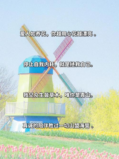 如何给相册取一个唯美简短的句子作为名字？