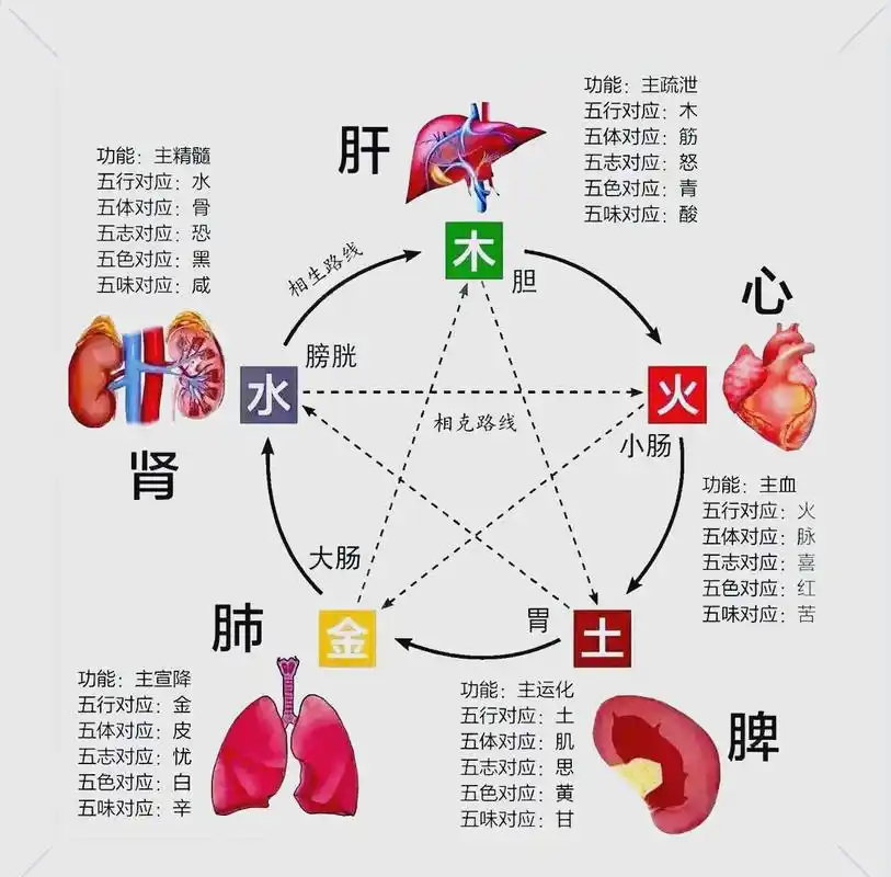 五行与五脏五官的对应关系是怎样的？