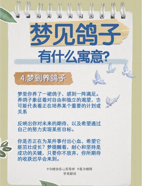 梦见救鸽子有什么特殊含义或预示吗？