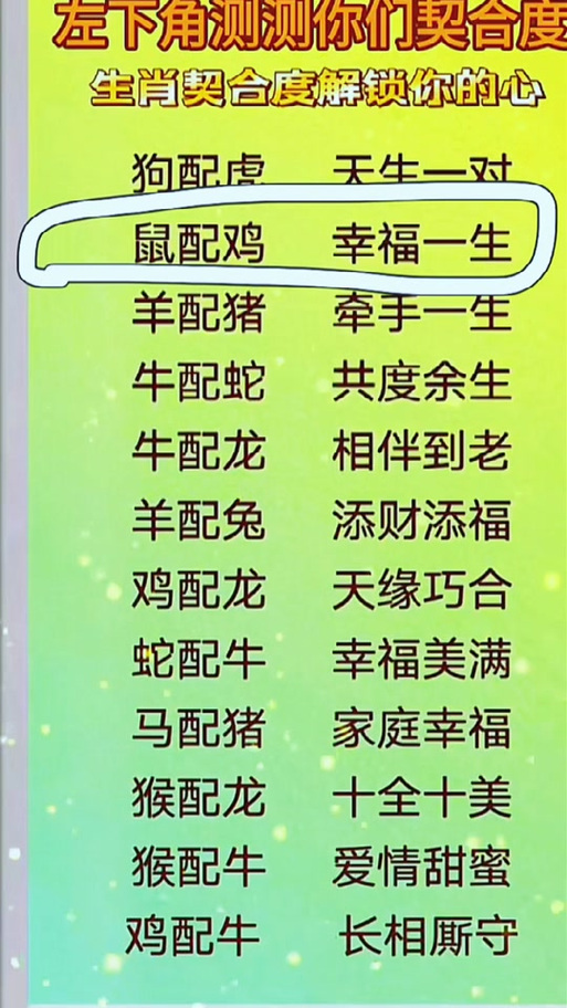 属鸡和属鼠的人在一起合不合适，财运方面会怎样？