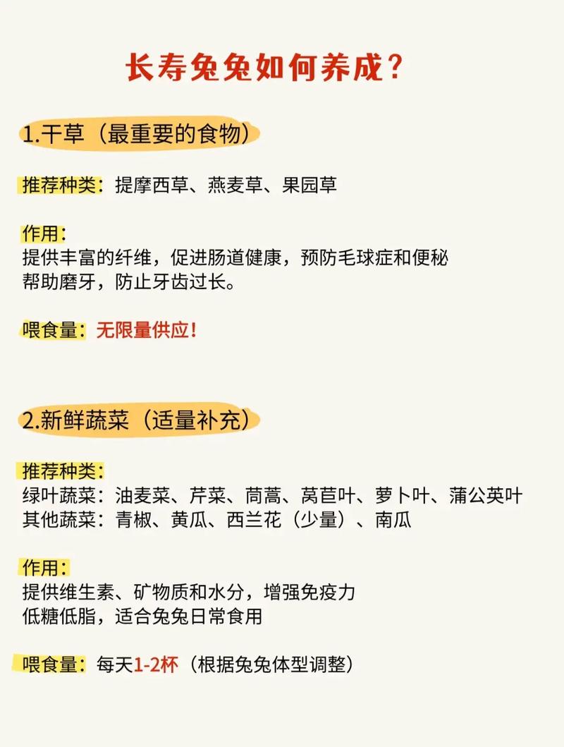 属龙女和属兔男谁的寿命更长，属兔人生于五月是否更健康长寿呢？