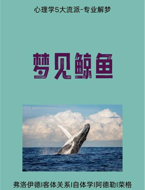 梦见鲸鱼跃出水面吃人，这梦境究竟有何特殊含义？