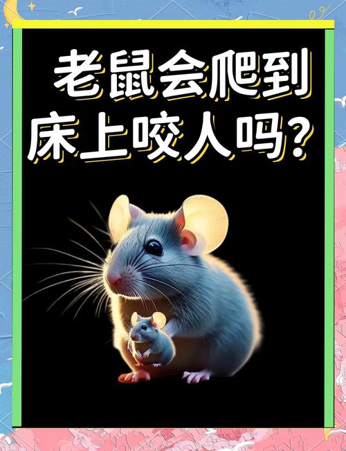 被老鼠或耗子咬了这究竟是不是一个不吉利的预兆，预示着什么不幸的事情即将发生呢？