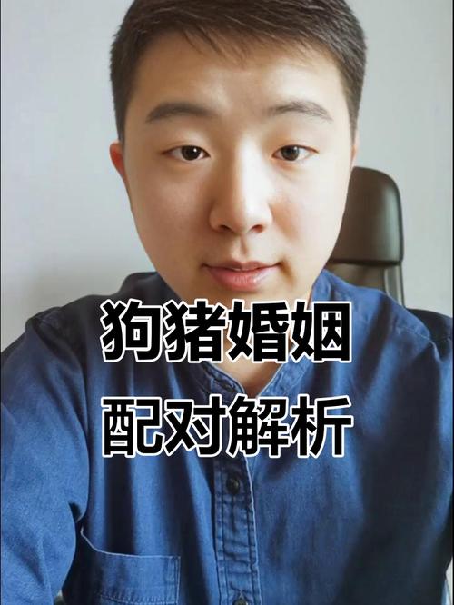 猪狗能否结为夫妻，婚姻生活是否和谐？