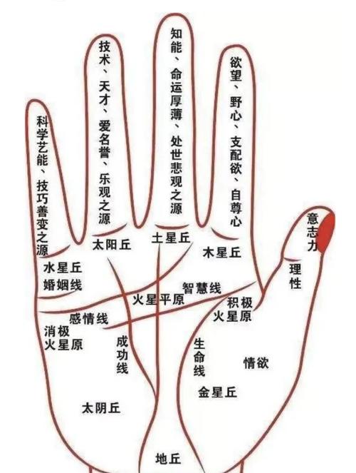 手相川字纹和星形纹分别代表什么含义？